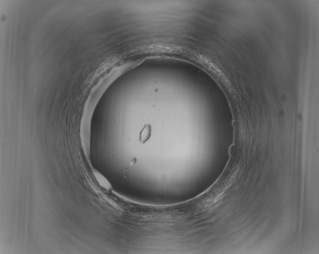 X0000068900625200605081346