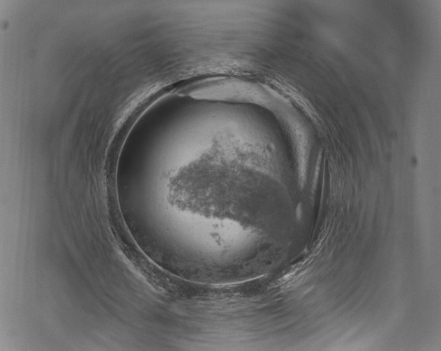 X0000068900626200605081346