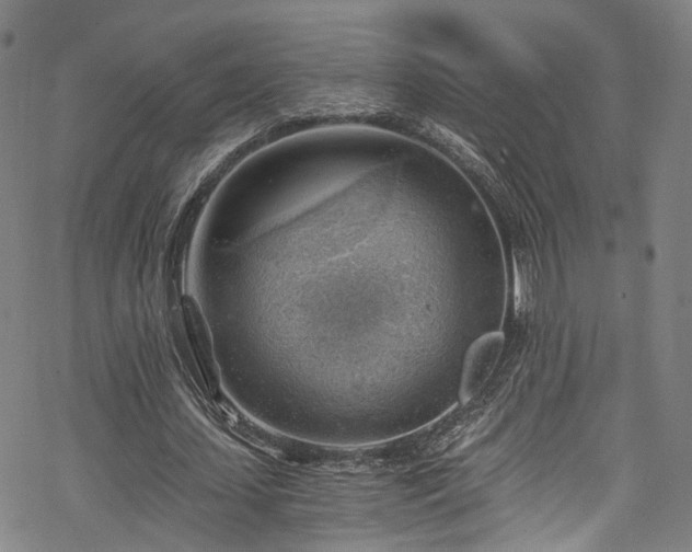 X0000068900627200605081346