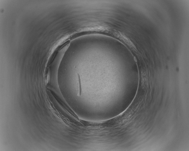 X0000068900628200605081346