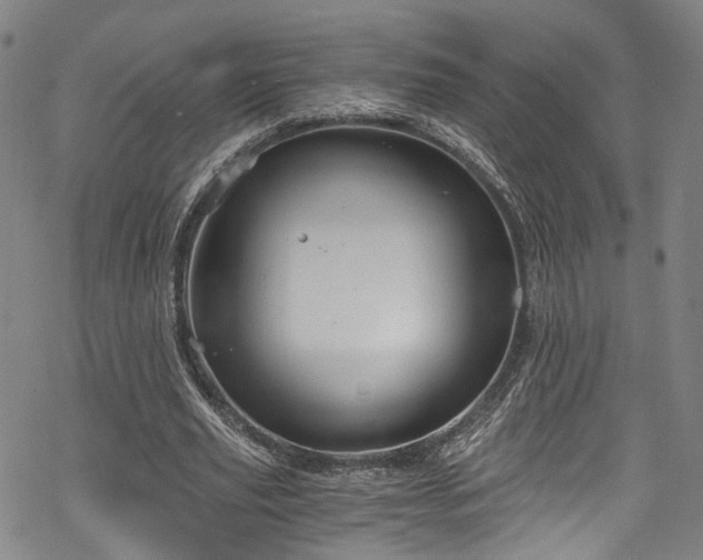 X0000068900629200605081346