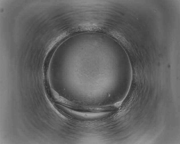 X0000068900630200605081346