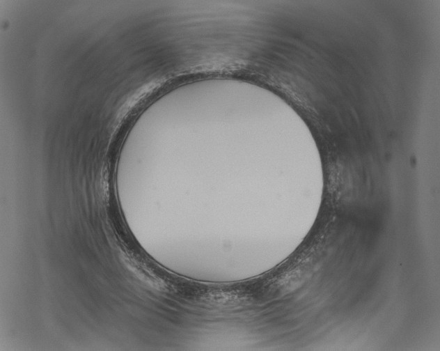 X0000068900632200605081346