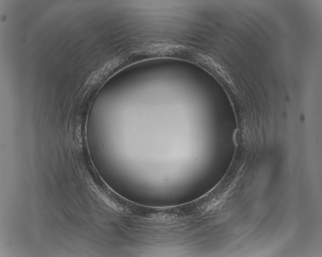 X0000068900633200605081346