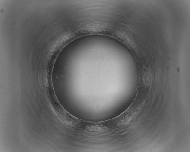 X0000068900635200605081346