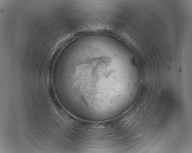 X0000068900640200605081346