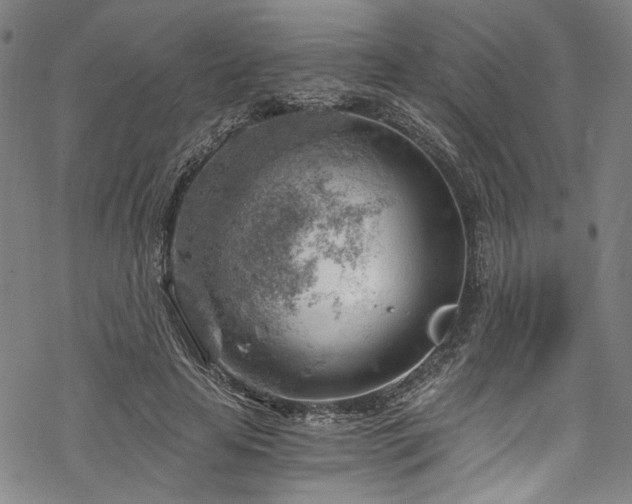 X0000068900641200605081346