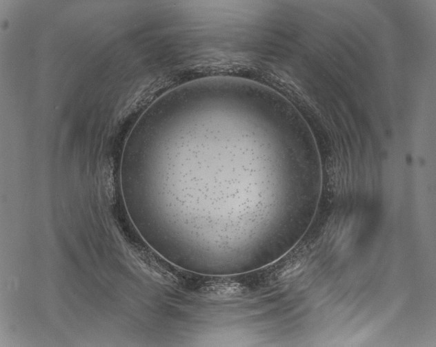 X0000068900642200605081346