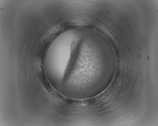 X0000068900643200605081346