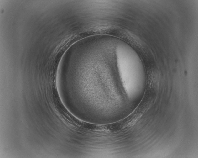 X0000068900644200605081346