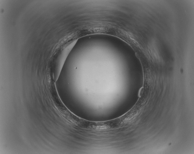 X0000068900645200605081346