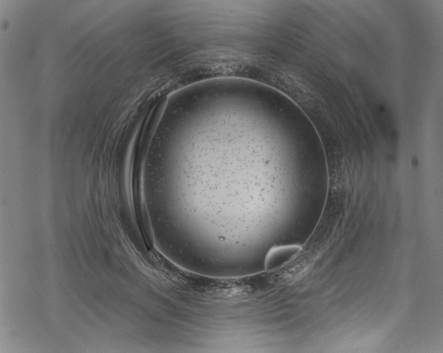 X0000068900646200605081346