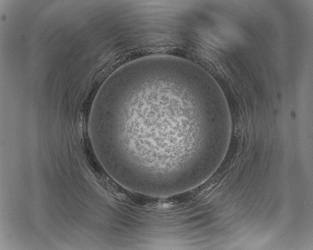 X0000068900647200605081346