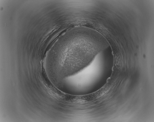 X0000068900648200605081346