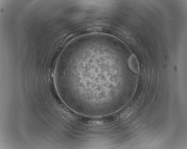 X0000068900649200605081346