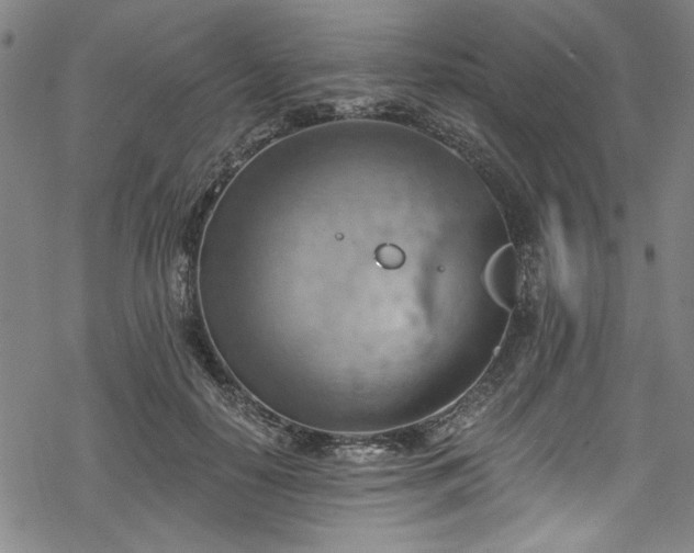 X0000068900650200605081346