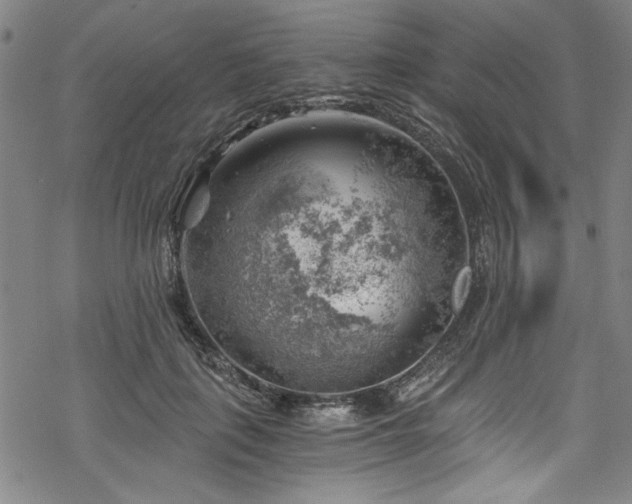 X0000068900651200605081346