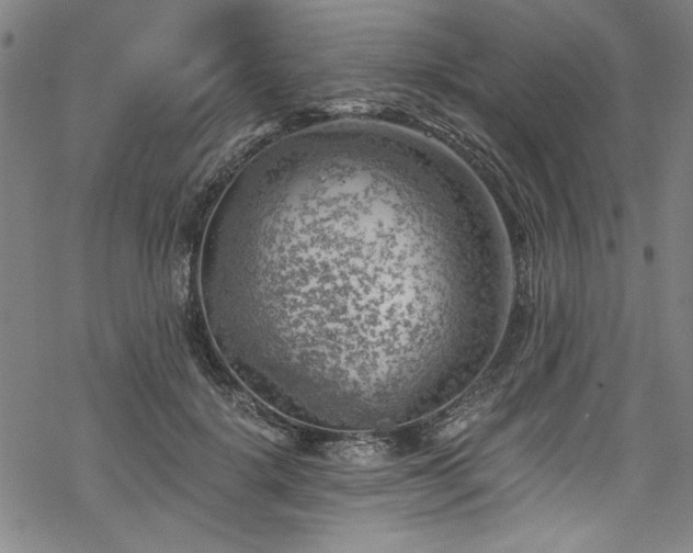 X0000068900652200605081346