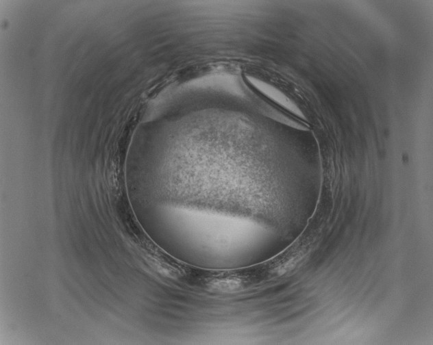 X0000068900653200605081346