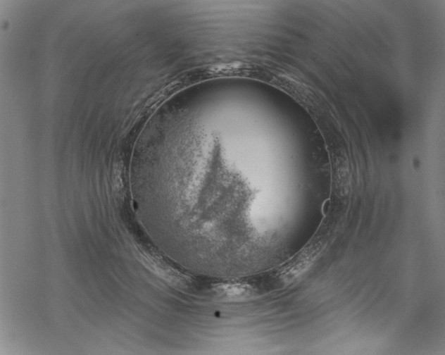 X0000068900654200605081346