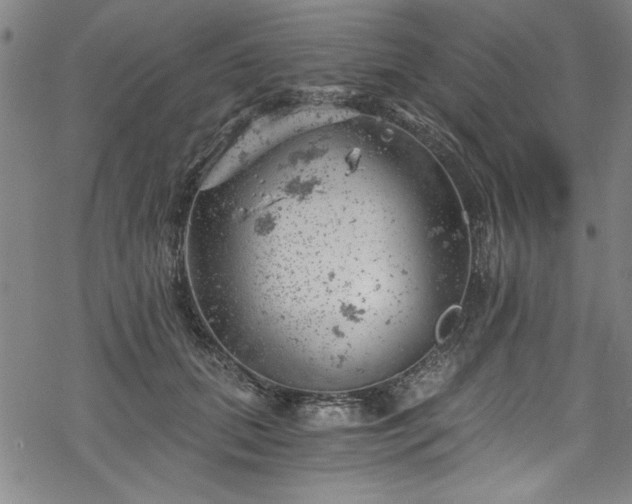 X0000068900655200605081346