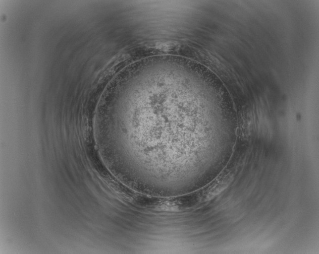 X0000068900656200605081347