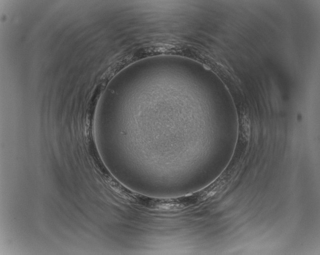 X0000068900657200605081347