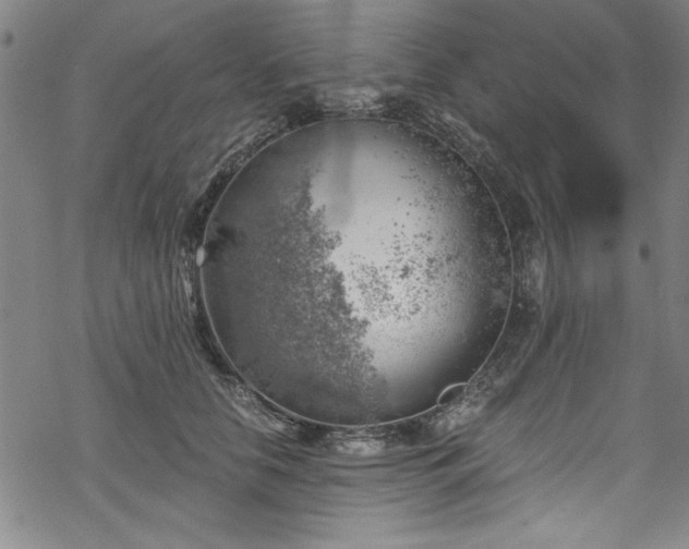 X0000068900658200605081347