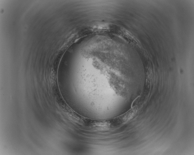 X0000068900659200605081347