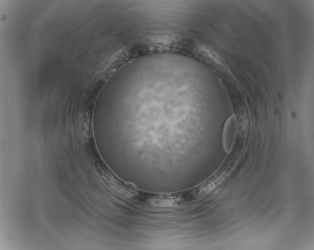 X0000068900661200605081347