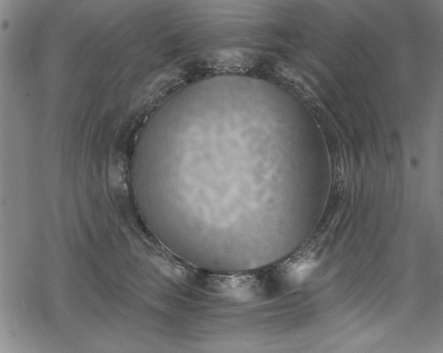 X0000068900663200605081347