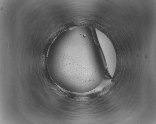 X0000068900664200605081347