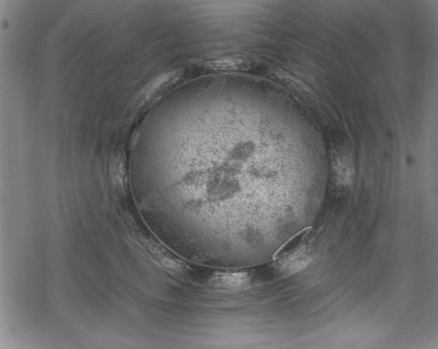 X0000068900665200605081347