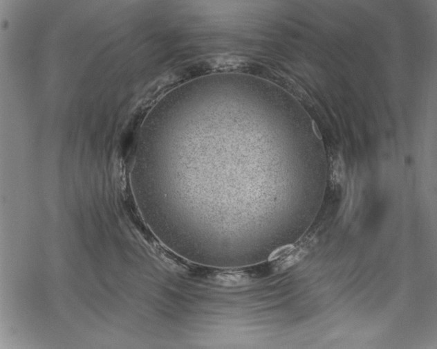 X0000068900666200605081347