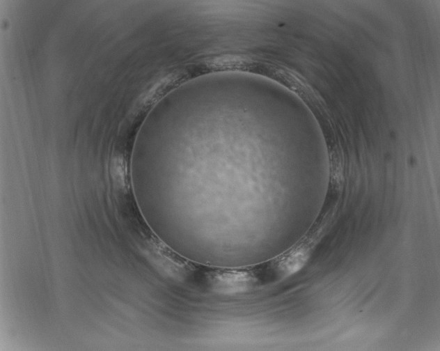 X0000068900669200605081347