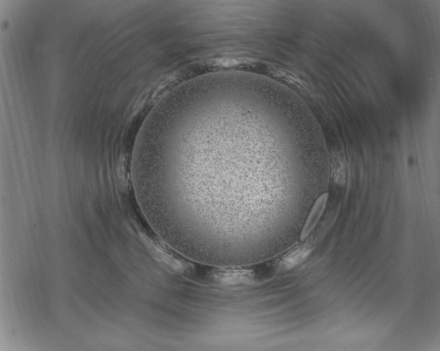 X0000068900670200605081347