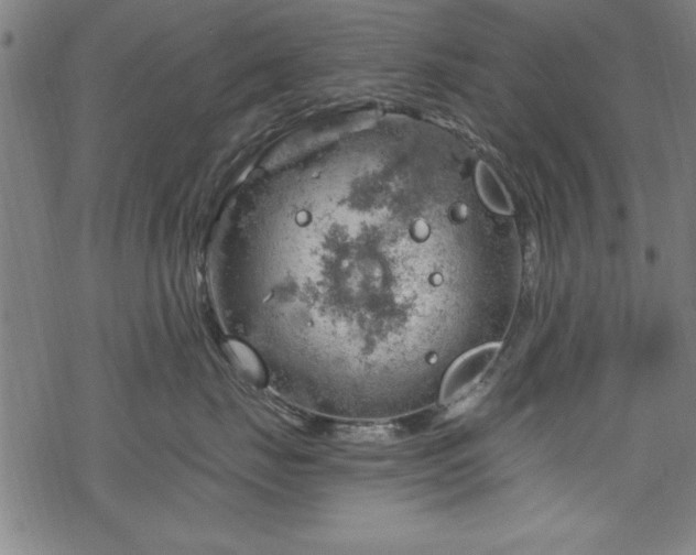 X0000068900671200605081347