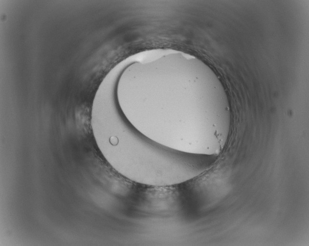 X0000068900672200605081347