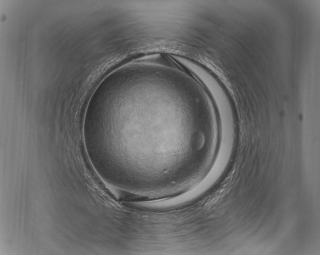 X0000068900673200605081346