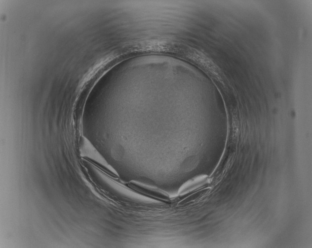 X0000068900674200605081346