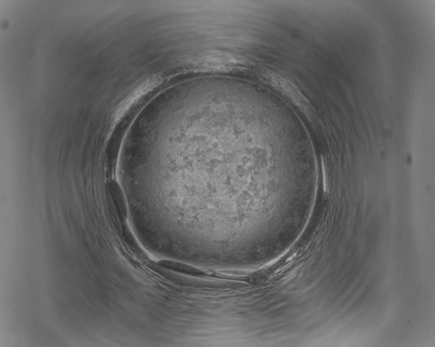 X0000068900675200605081346