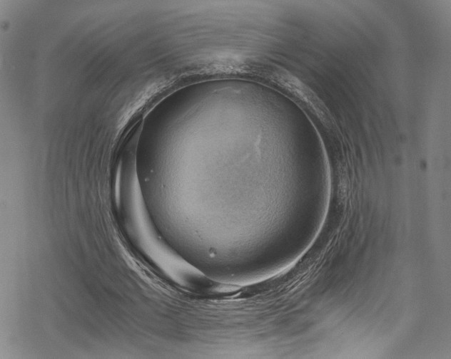 X0000068900677200605081346