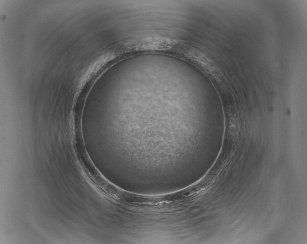 X0000068900678200605081346