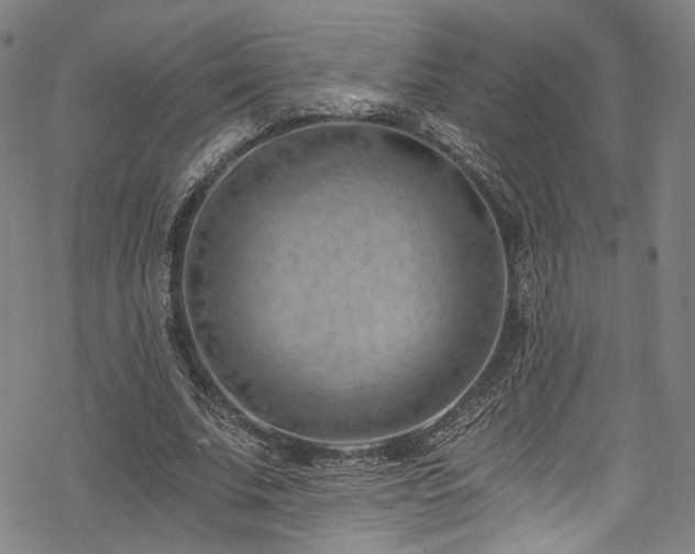 X0000068900679200605081346