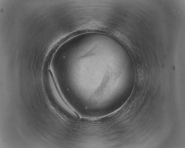 X0000068900680200605081346