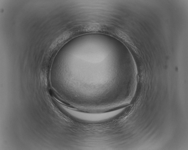 X0000068900681200605081346