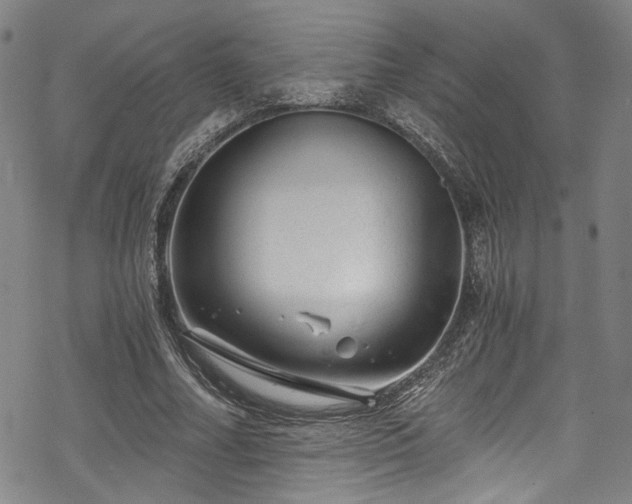 X0000068900682200605081346