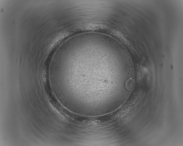 X0000068900683200605081346