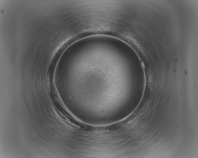 X0000068900684200605081346