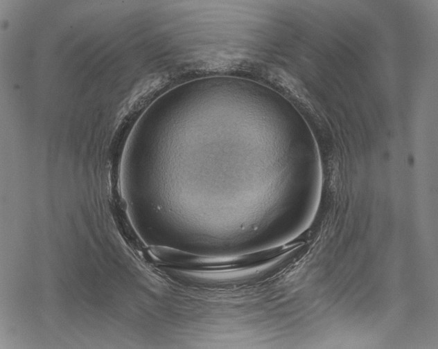 X0000068900685200605081346